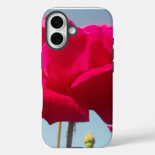 Coque Pour iPhone 16 Rose Céleste Belle Fleur Rouge sur Fond Bleu