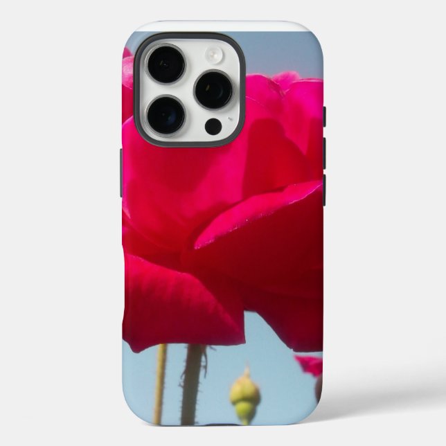 Coques Case-Mate iPhone Rose Céleste | Belle Fleur Rouge sur Fond Bleu (Verso)