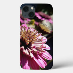 Case-Mate iPhone Case Rose Purple African Daisies Gros plan Photo