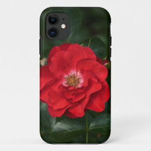 Case-Mate iPhone Case Rose rouge P6568