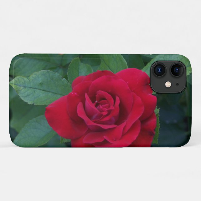 Coques Case-Mate iPhone Rose rouge proche (Dos (Horizontal))
