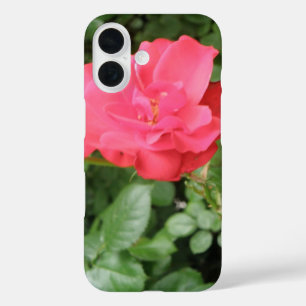 Coque Pour iPhone 16 Rose sauvage