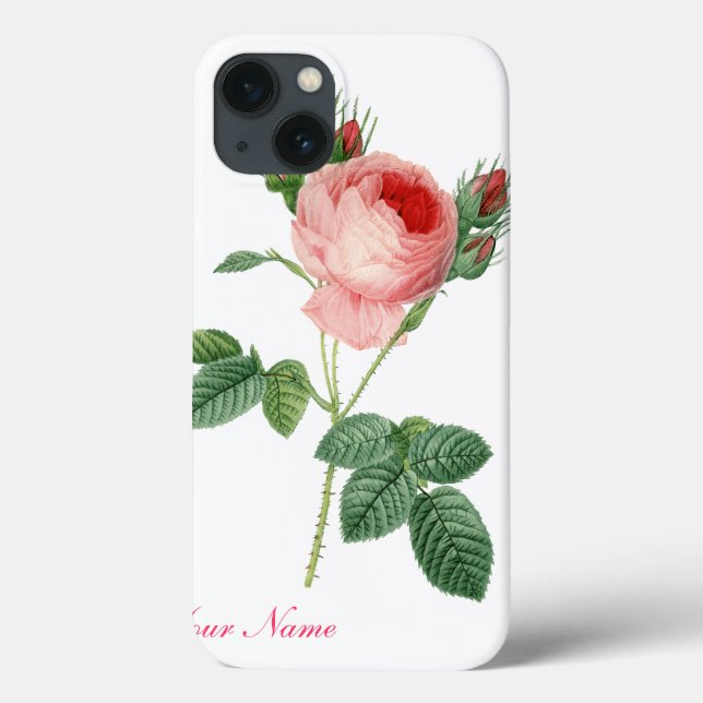 Coques Case-Mate iPhone rose vintage botanical illustration (Verso)