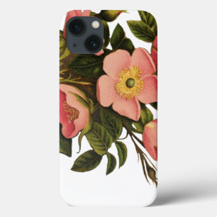 Coques Pour iPhone Roses Anciennes Jolies Roses Botaniques Roses