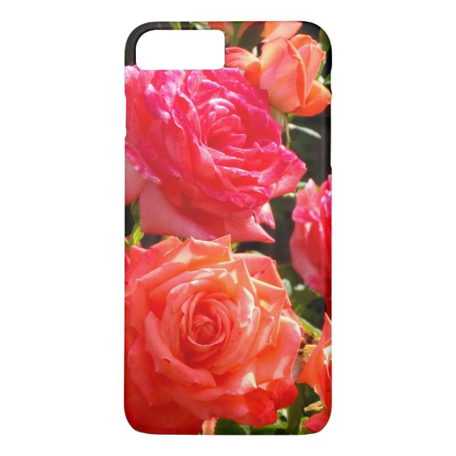 Coques Case-Mate iPhone Roses de corail romantique (Dos)