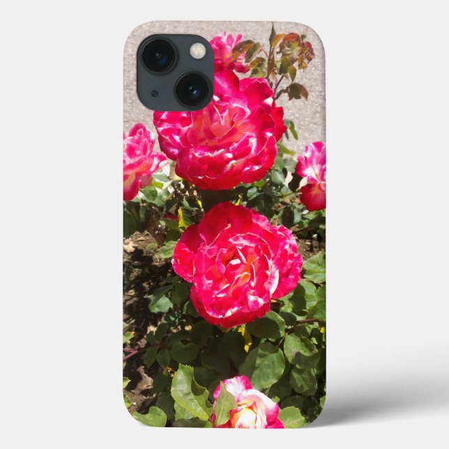 Coques Case-Mate iPhone Roses du jardin rouge (Verso)