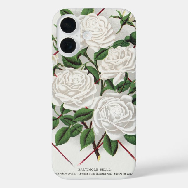 Coques Case-Mate iPhone Rosier grimpant blanc victorien antique de jardin (Verso)