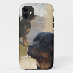 Coques Pour iPhone Rottweiler