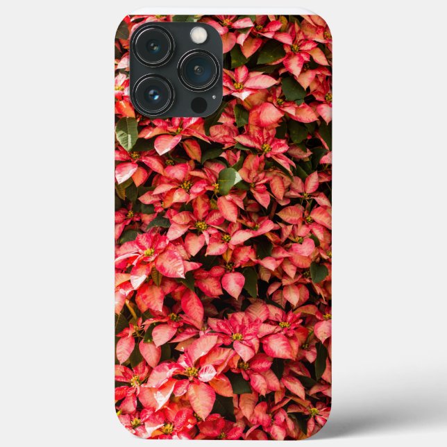 Coques Case-Mate iPhone Rouge Noël Poinsettia (Verso)