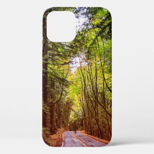 Case-Mate iPhone Case Route humide à travers les arbres verts à l'automn