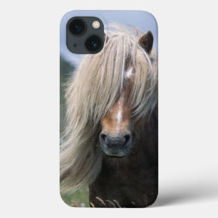 Coque Case-Mate iPhone Royaume-Uni, Écosse, îles Shetland, poney Shetland