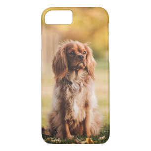 Case-Mate iPhone Case Ruby Cavalier le roi Charles Spaniel