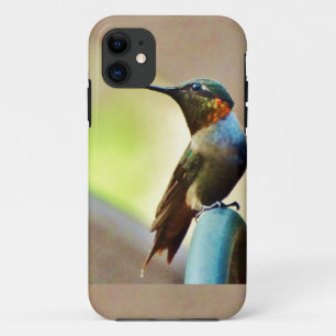Coque iPhone 11 Ruby perché et petit colibri vert