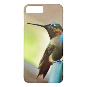 Coque Case-Mate iPhone Ruby perché et petit colibri vert