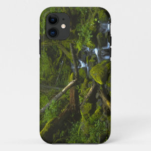 Coque iPhone 11 Ruisseau de la forêt pluviale tempérée dans la riv