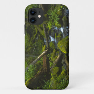 Coque iPhone 11 Ruisseau de la forêt pluviale tempérée dans la riv