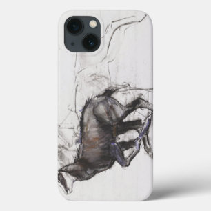 iPhone 13 Case Running Chamois