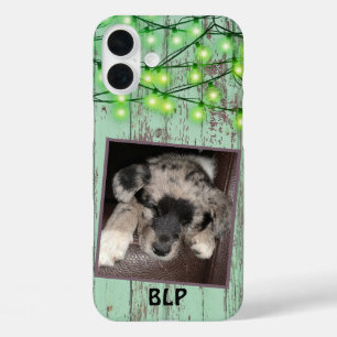 Coque Pour iPhone 16 Plus Rustic Green Wood Custom Carré Photo Puppy