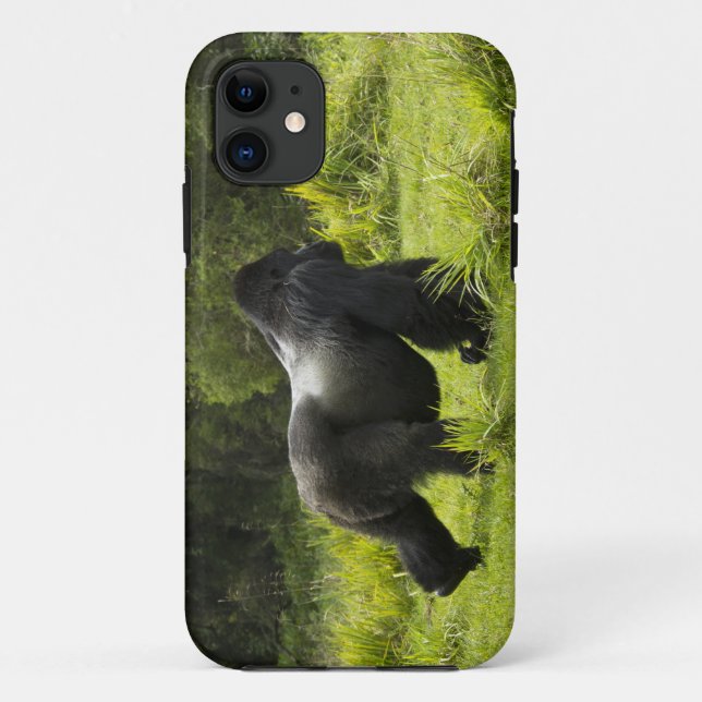 Coques Case-Mate iPhone Rwanda, Parc national des volcans (Dos)