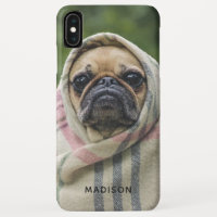 Sacré Carlin Chien personnalisées de nom de téléph