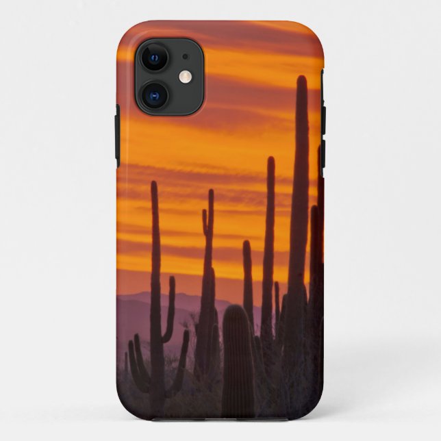 Coques Case-Mate iPhone Saguaro, coucher de soleil, Parc national de Sagua (Dos)