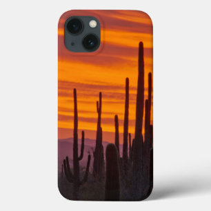 Coques Pour iPhone Saguaro, coucher du soleil, Parc national du Sagua