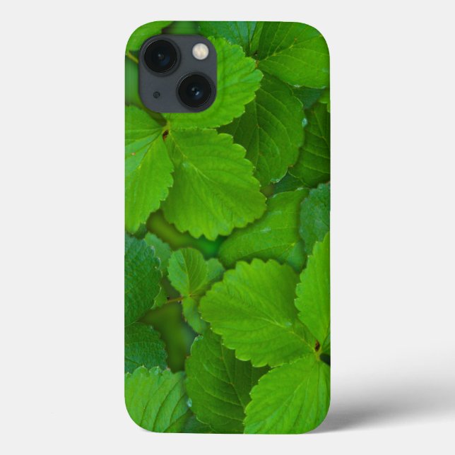 Coques Case-Mate iPhone Saint Basil Tulsi Green Mint Feuilles (Verso)