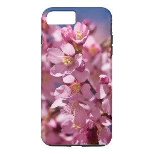 Coques Pour iPhone Sakura Cherry Blossoms embrassés par Sunlight