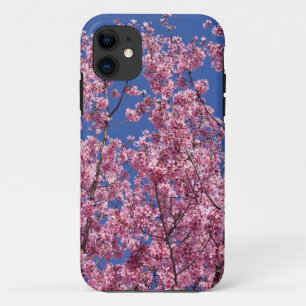 Coques Pour iPhone Sakura Cherry Fleurit Dans Le Bleu