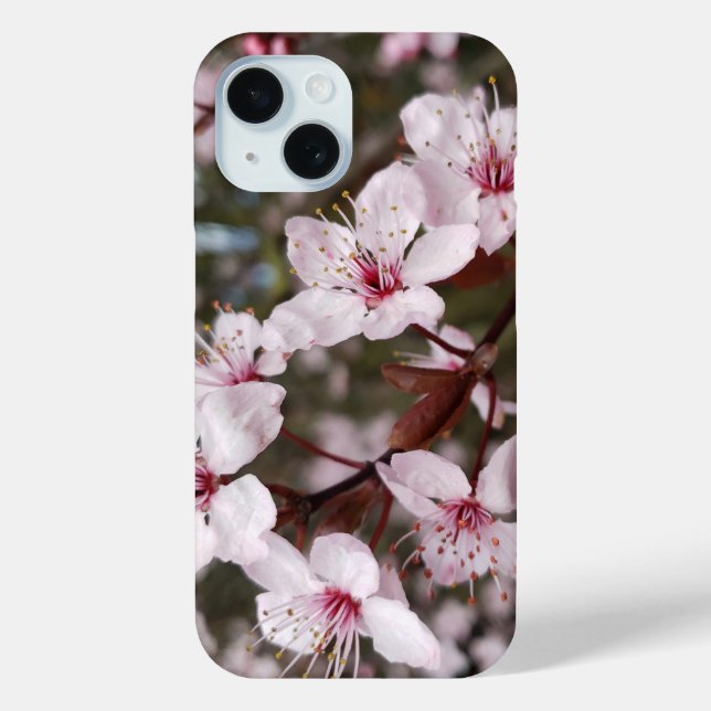 Coques Case-Mate iPhone Sakura de printemps (Verso)