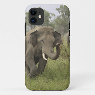 Case-Mate iPhone Case Salutation des éléphants d'Asie indienne