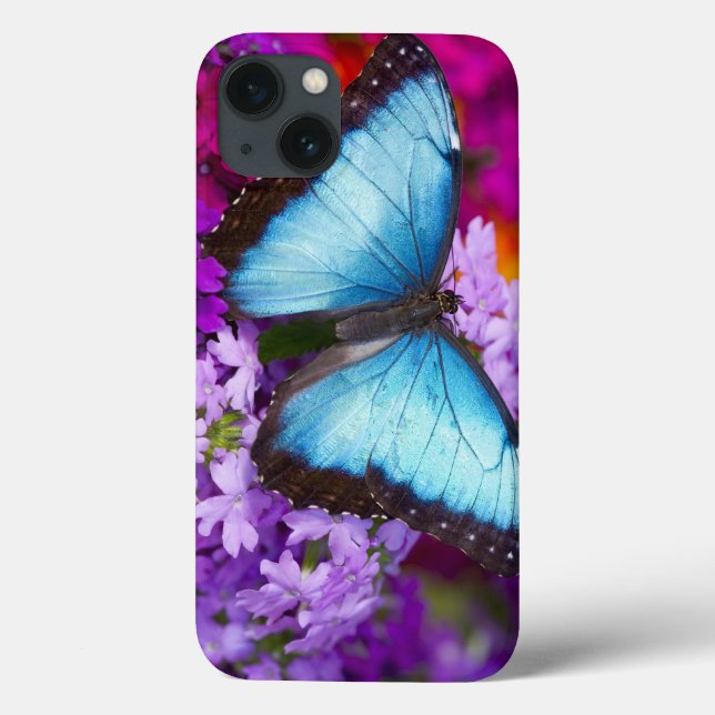 Coques Case-Mate iPhone Sammamish Washington Papillon Tropical (Verso)