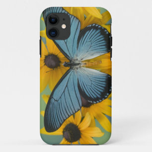Coque Case-Mate Pour iPhone Sammamish Washington Photographie de Papillon
