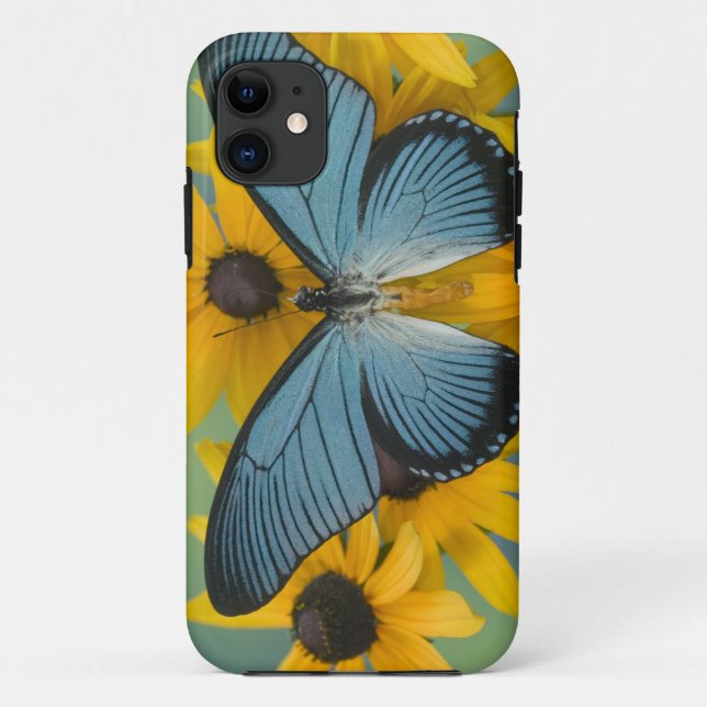 Coques Case-Mate iPhone Sammamish Washington Photographie de Papillon (Dos)