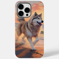 Sandy Paws Alaskan Malamute Chien sur le coucher d