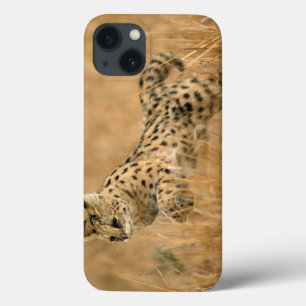 Etui iPhone 13 Saut Serval (Leptailurus Serval)