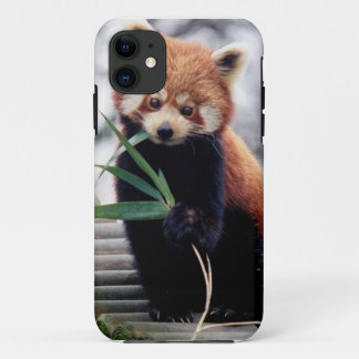 Coques Pour iPhone Sauvez la caisse de l'iPhone 5/5S de panda rouge