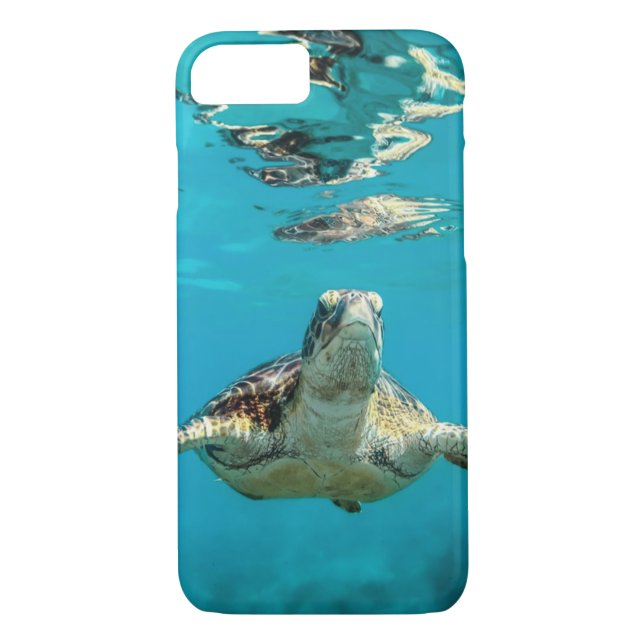 Coques Case-Mate iPhone Sauvez les tortues marines (Dos)