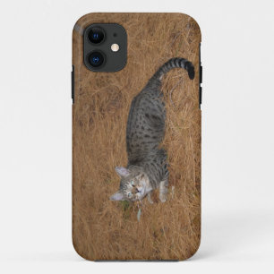 Coques Pour iPhone Savannah Cat iPhone 5