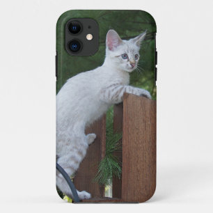 Etui iPhone Case-Mate Savannah Cat iPhone 5 Coque-Mate à peine là