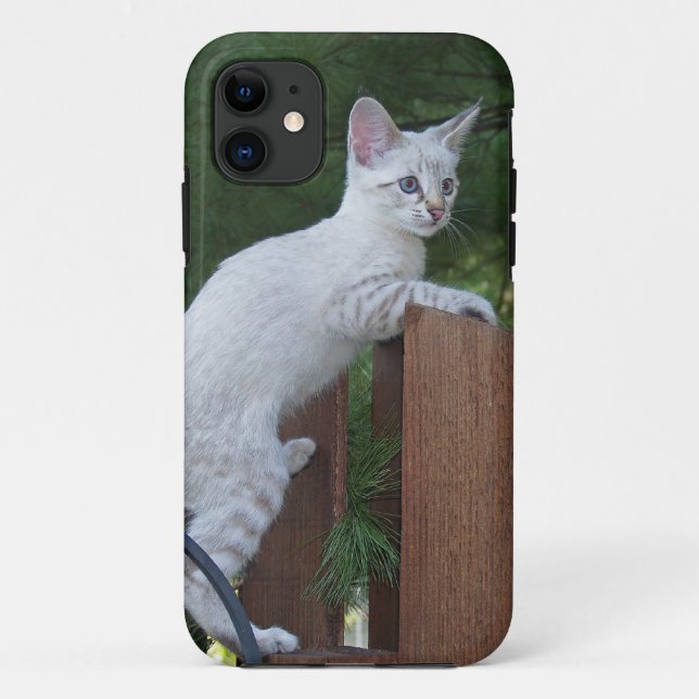 Coques Case-Mate iPhone Savannah Cat iPhone 5 Coque-Mate à peine là (Dos)