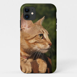 Coque Case-Mate iPhone Savannah Cat iPhone 5 Coque-Mate à peine là