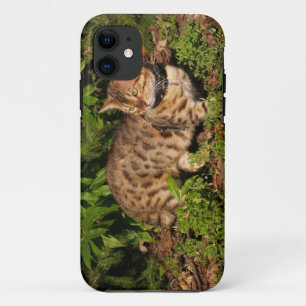 Coque Case-Mate iPhone Savannah Cat iPhone 5 Coque-Mate à peine là