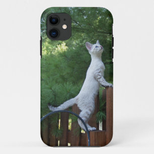 Coque iPhone 11 Savannah Cat iPhone 5 Custom Coque-Mate ID