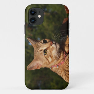 Coques Pour iPhone Savannah Cat iPhone 5 Custom Coque-Mate ID