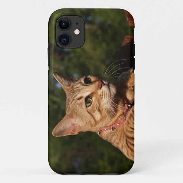 Coques Case-Mate iPhone Savannah Cat iPhone 5 Custom Coque-Mate ID (Dos)