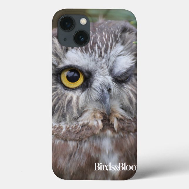 Coques Case-Mate iPhone Saw-whet Owl (Verso)