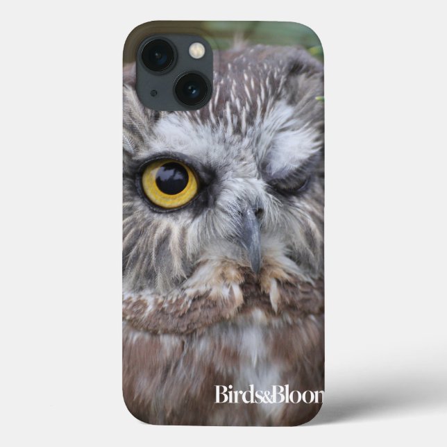 Coques Case-Mate iPhone Saw-whet Owl (Verso)