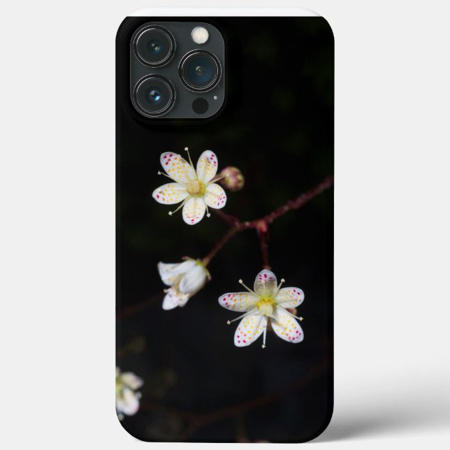 Coques Case-Mate iPhone Saxifrage tacheté pour téléphones (Verso)