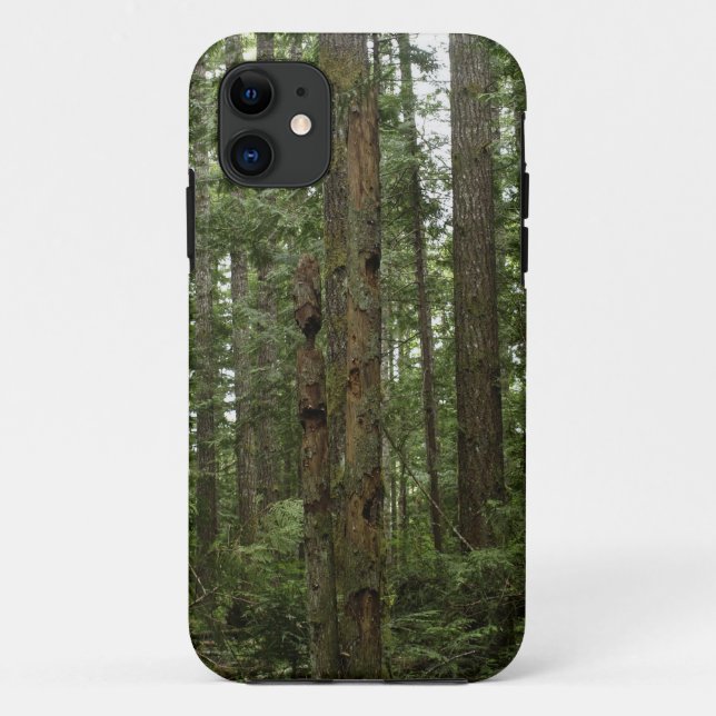 Coques Case-Mate iPhone Scène naturelle de la forêt de Totem Vert (Dos)
